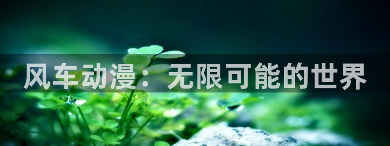 免费韩漫在线阅读：风车动漫：无限可能的世界配图
