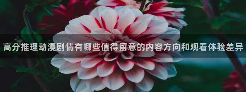 韩漫漫画:高分推理动漫剧情有哪些值得留意的内容方向和观看体验差异配图