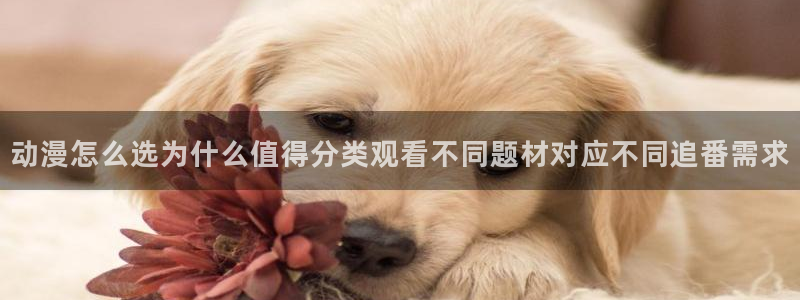 韩漫漫画全集:动漫怎么选为什么值得分类观看不同题材对应不同追番需求配图