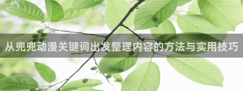 韩国漫画大全在线:从兜兜动漫关键词出发整理内容的方法与实用技巧配图