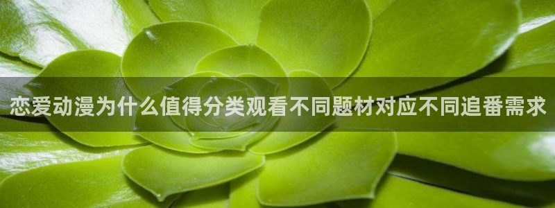 韩漫漫画在哪看:恋爱动漫为什么值得分类观看不同题材对应不同追番需求配图